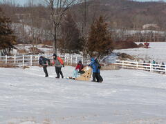 Image file: photo73.jpg