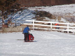 Image file: photo80.jpg