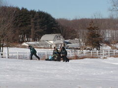 Image file: photo81.jpg