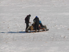 Image file: photo85.jpg