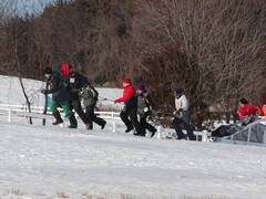 Image file: photo87.jpg