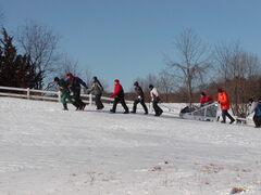 Image file: photo88.jpg