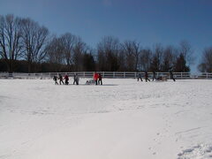 Image file: photo90.jpg