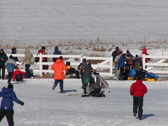 Image file: photo95.jpg