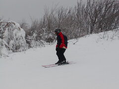 Image file: photo04.jpg