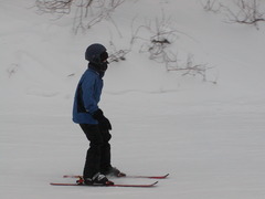 Image file: photo11.jpg