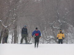 Image file: photo12.jpg