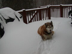 Image file: photo01.jpg