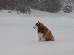 Image file: photo01.jpg