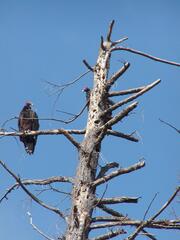 Image file: photo03.jpg