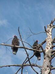 Image file: photo04.jpg