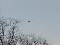 Image file: photo05.jpg