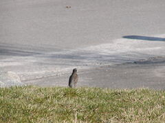 Image file: photo06.jpg