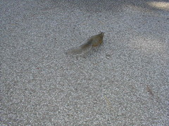 Image file: photo08.jpg