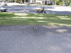 Image file: photo09.jpg