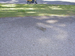 Image file: photo11.jpg