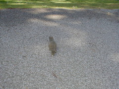 Image file: photo12.jpg