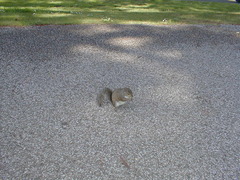 Image file: photo13.jpg