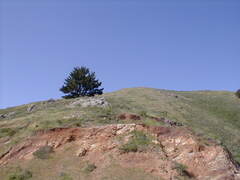 Image file: photo21.jpg