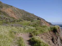 Image file: photo26.jpg