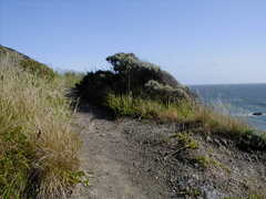 Image file: photo31.jpg