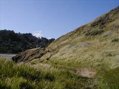 Image file: photo32.jpg