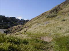 Image file: photo33.jpg