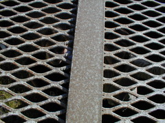 Image file: photo45.jpg