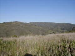 Image file: photo46.jpg