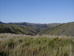 Image file: photo47.jpg