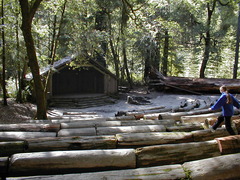 Image file: photo48.jpg