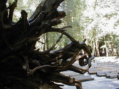 Image file: photo49.jpg