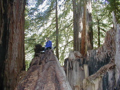 Image file: photo52.jpg