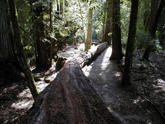 Image file: photo53.jpg