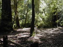 Image file: photo54.jpg