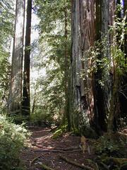 Image file: photo55.jpg