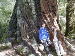 Image file: photo56.jpg