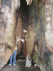 Image file: photo59.jpg