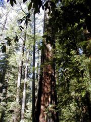 Image file: photo61.jpg