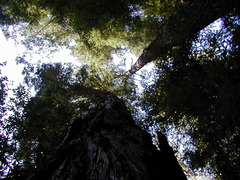 Image file: photo62.jpg