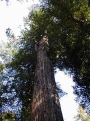 Image file: photo64.jpg