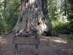 Image file: photo65.jpg