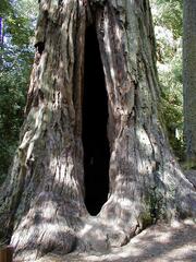 Image file: photo66.jpg