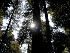 Image file: photo67.jpg