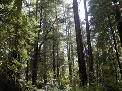 Image file: photo68.jpg