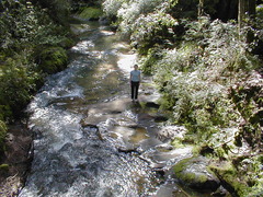 Image file: photo69.jpg