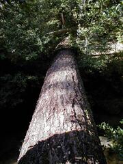 Image file: photo71.jpg