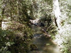 Image file: photo72.jpg