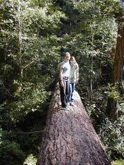 Image file: photo73.jpg