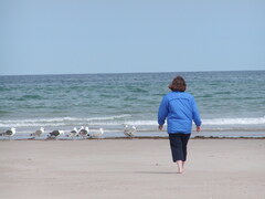 Image file: photo06.jpg